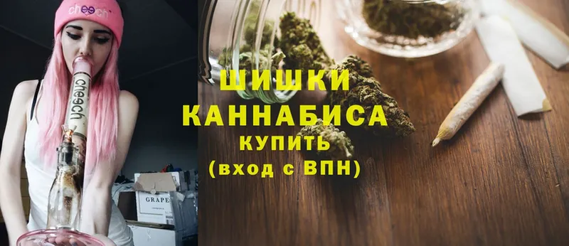 купить наркоту  Вилючинск  мега ТОР  Шишки марихуана OG Kush 